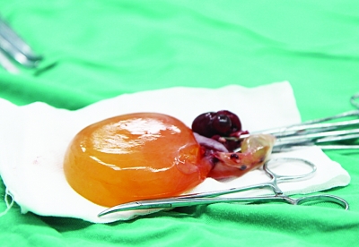̥С೤ڶƤ ʸػء