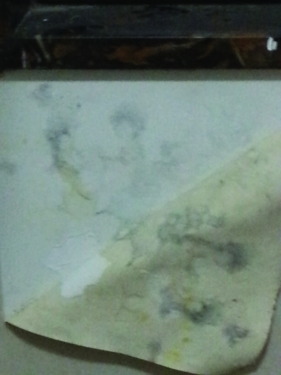 ߿Ƽġʪˡʪ 궼ҵʪԾȡ