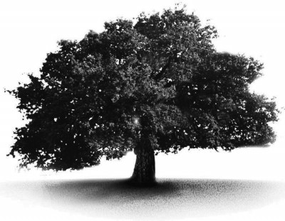 İŮԽָѺ200Ԫ սָһڴӦ