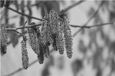 ���������°�ϵҥ��