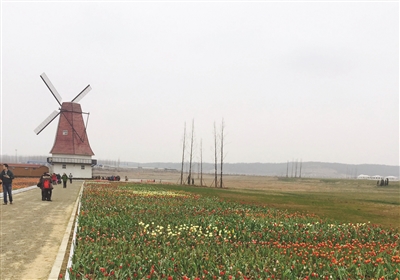 ơͯŷС ʵǻ200鿴糵