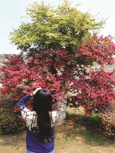ٺ컨ľ ˫ɫ