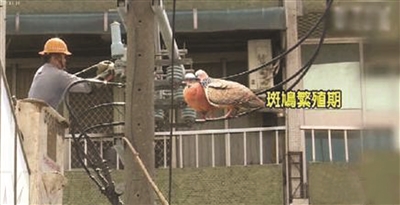 ֻױ籬