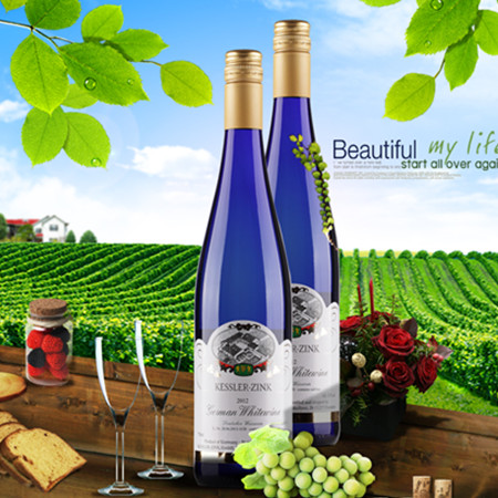 ͥ����������ע������