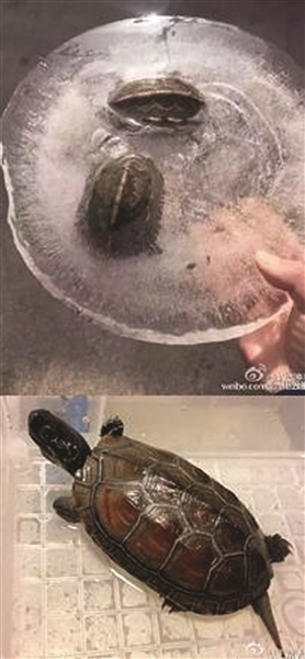 ֻڹ걻ⶳ󸴻
